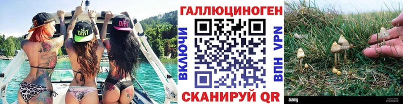 маркетплейс как зайти Калининск Галлюциногенные грибы Magic Shrooms